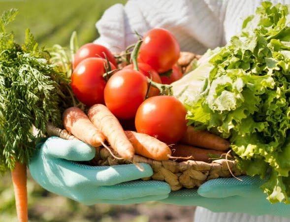 Fresh Fruits & Vegetables
